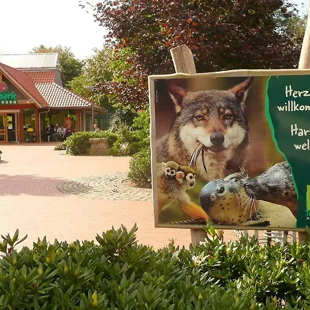 Spechtstrasse 65 公寓 诺德霍恩