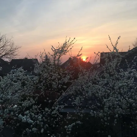 Spechtstrasse 65 公寓 诺德霍恩